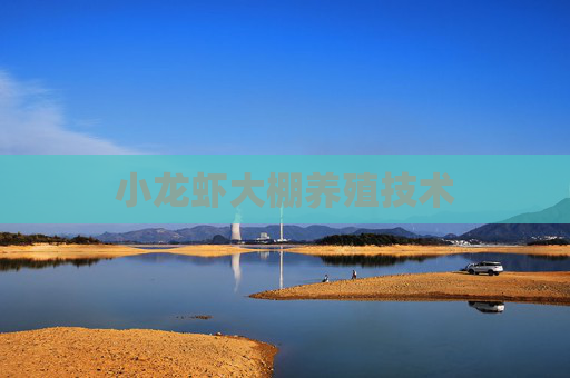小龙虾大棚养殖技术