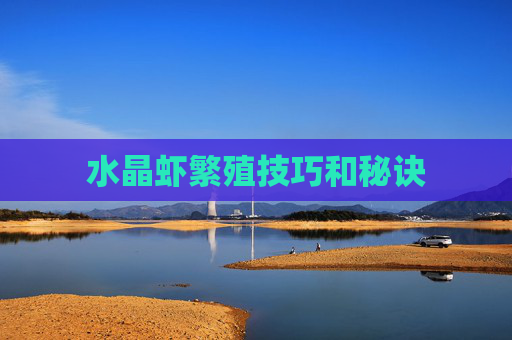 水晶虾繁殖技巧和秘诀