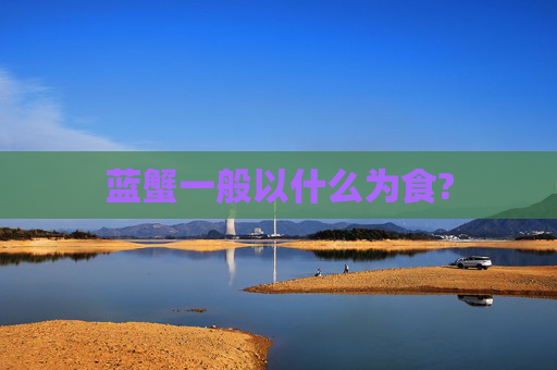 蓝蟹一般以什么为食?
