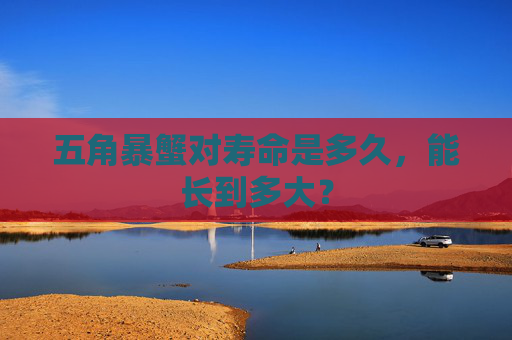 五角暴蟹对寿命是多久，能长到多大？