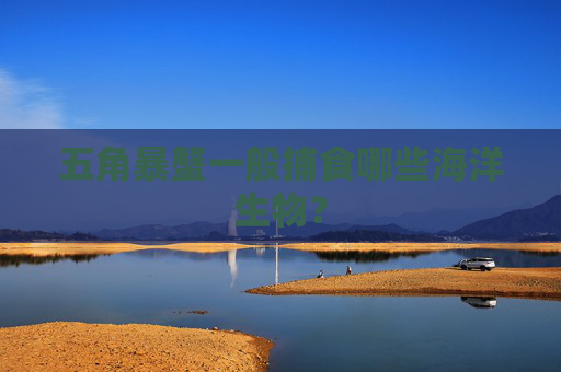 五角暴蟹一般捕食哪些海洋生物？
