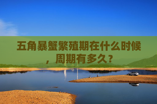 五角暴蟹繁殖期在什么时候,周期有多久?