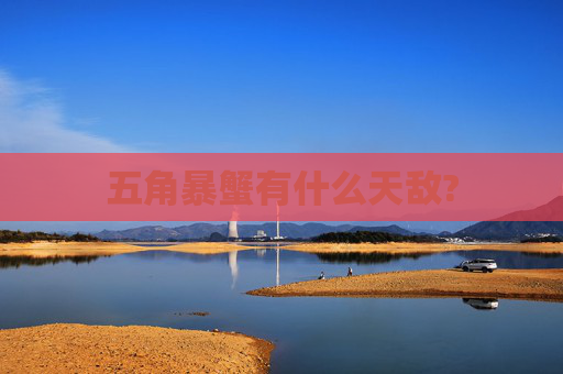 五角暴蟹有什么天敌?