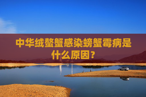 中华绒螯蟹感染螃蟹霉病是什么原因？