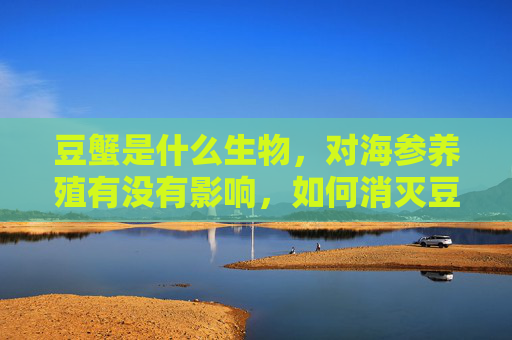 豆蟹是什么生物，对海参养殖有没有影响，如何消灭豆蟹?