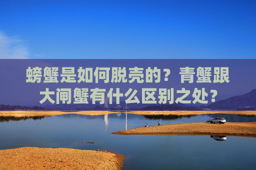螃蟹是如何脱壳的？青蟹跟大闸蟹有什么区别之处？