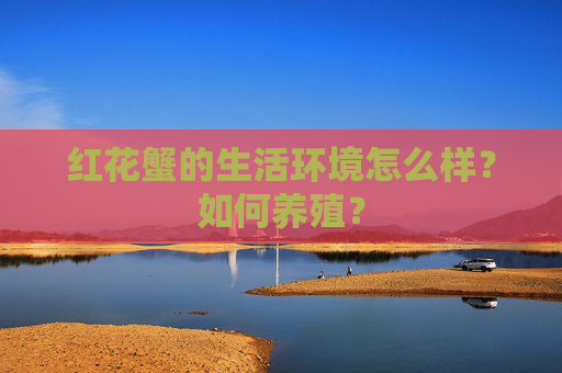 红花蟹的生活环境怎么样？如何养殖？