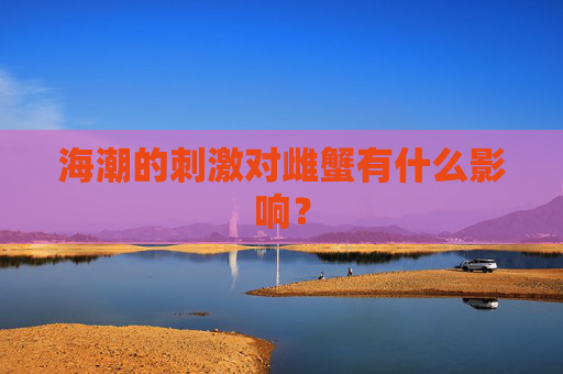海潮的刺激对雌蟹有什么影响？