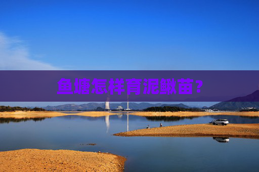 鱼塘怎样育泥鳅苗？