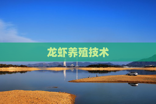 龙虾养殖技术