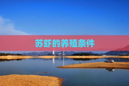 苏虾的养殖条件