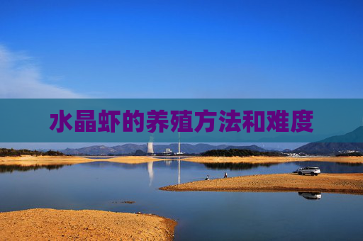 水晶虾的养殖方法和难度