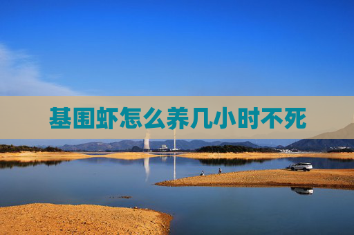 基围虾怎么养几小时不死