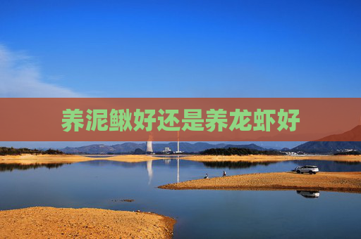 养泥鳅好还是养龙虾好 养泥鳅好还是养龙虾好