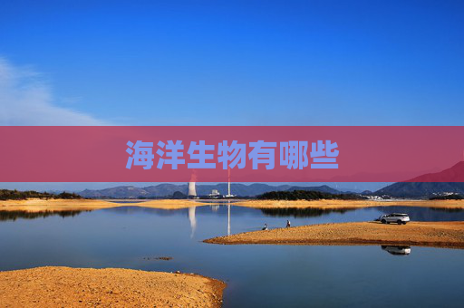 海洋生物有哪些