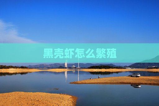 黑壳虾怎么繁殖