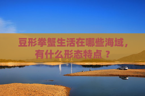 豆形拳蟹生活在哪些海域，有什么形态特点 ？