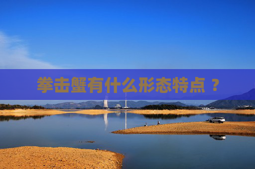 拳击蟹有什么形态特点 ？