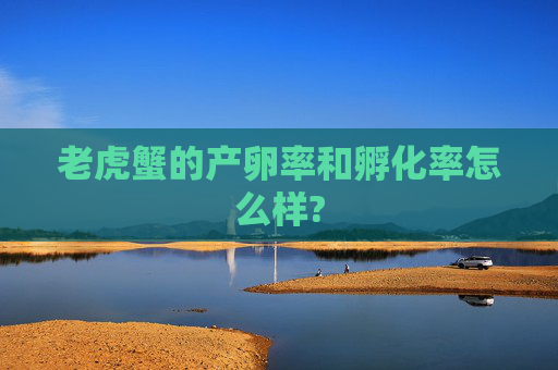 老虎蟹的产卵率和孵化率怎么样?