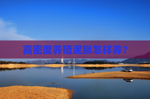 高密度养殖泥鳅怎样养？
