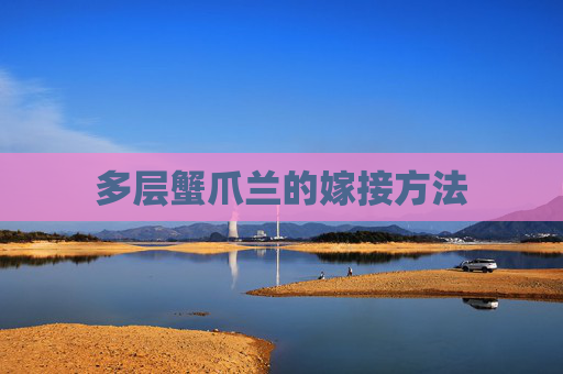 多层蟹爪兰的嫁接方法