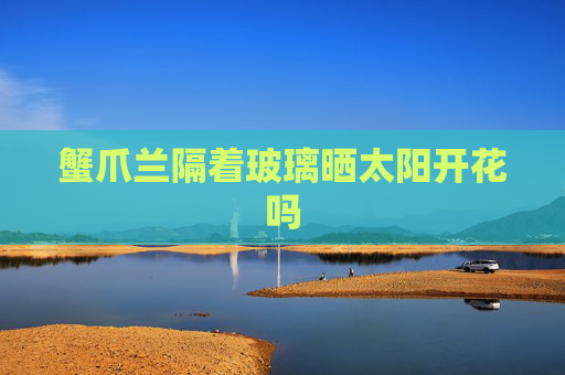 蟹爪兰隔着玻璃晒太阳开花吗