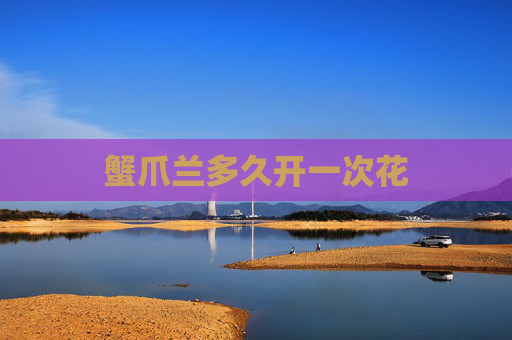 蟹爪兰多久开一次花