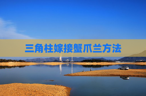 三角柱嫁接蟹爪兰方法