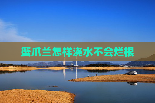 蟹爪兰怎样浇水不会烂根