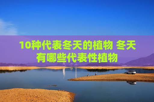10种代表冬天的植物 冬天有哪些代表性植物