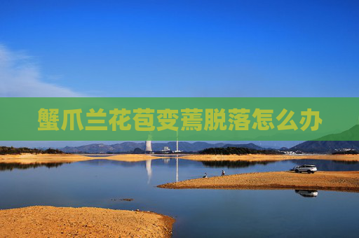 蟹爪兰花苞变蔫脱落怎么办