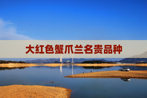 大红色蟹爪兰名贵品种