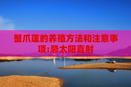 蟹爪莲的养殖方法和注意事项:忌太阳直射