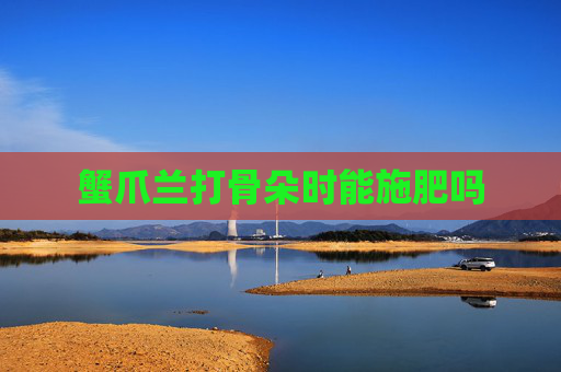 蟹爪兰打骨朵时能施肥吗
