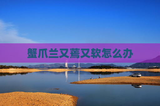 蟹爪兰又蔫又软怎么办