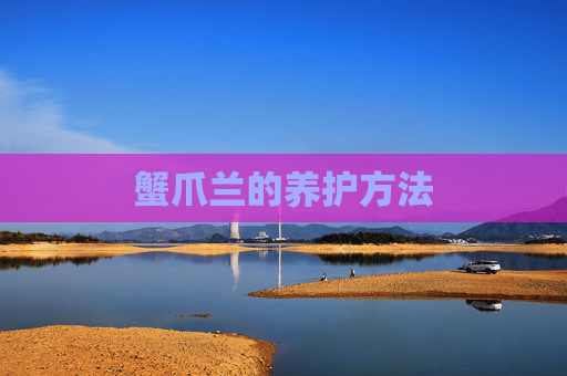 蟹爪兰的养护方法