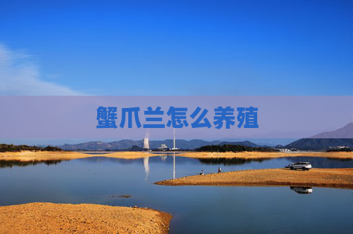 蟹爪兰怎么养殖