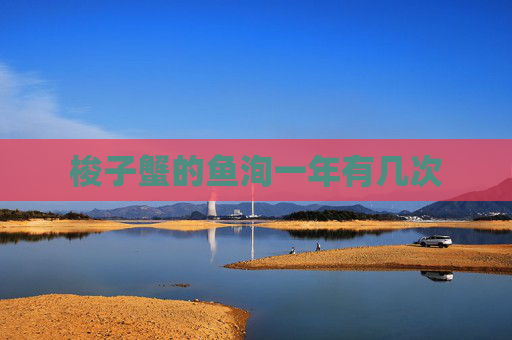 梭子蟹的鱼洵一年有几次