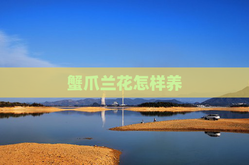 蟹爪兰花怎样养