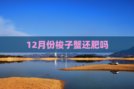 12月份梭子蟹还肥吗