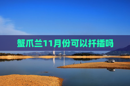 蟹爪兰11月份可以扦插吗