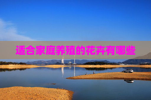 适合家庭养殖的花卉有哪些