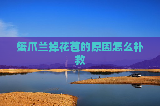蟹爪兰掉花苞的原因怎么补救