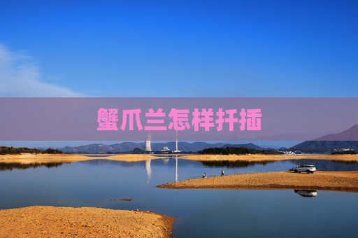 蟹爪兰怎样扦插