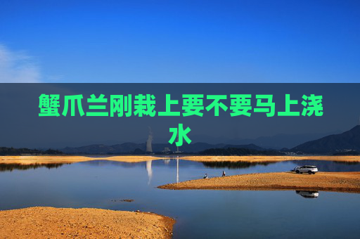 蟹爪兰刚栽上要不要马上浇水