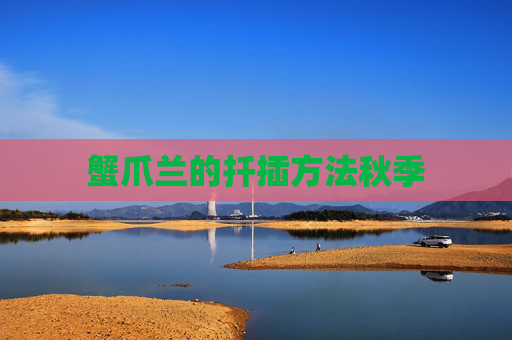 蟹爪兰的扦插方法秋季