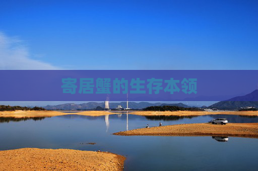 寄居蟹的生存本领