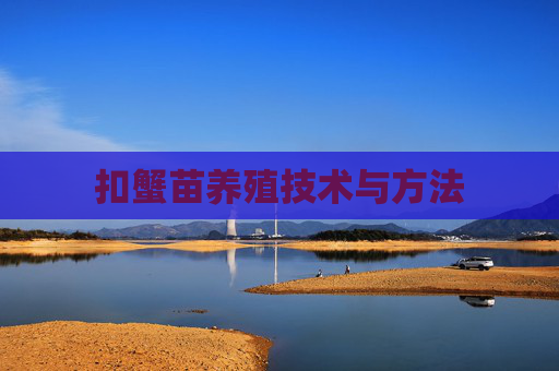 扣蟹苗养殖技术与方法