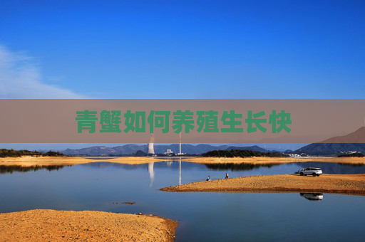 青蟹如何养殖生长快