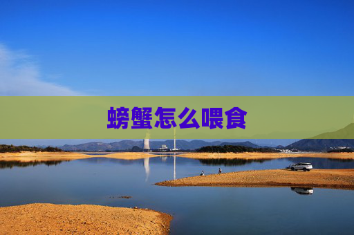 螃蟹怎么喂食